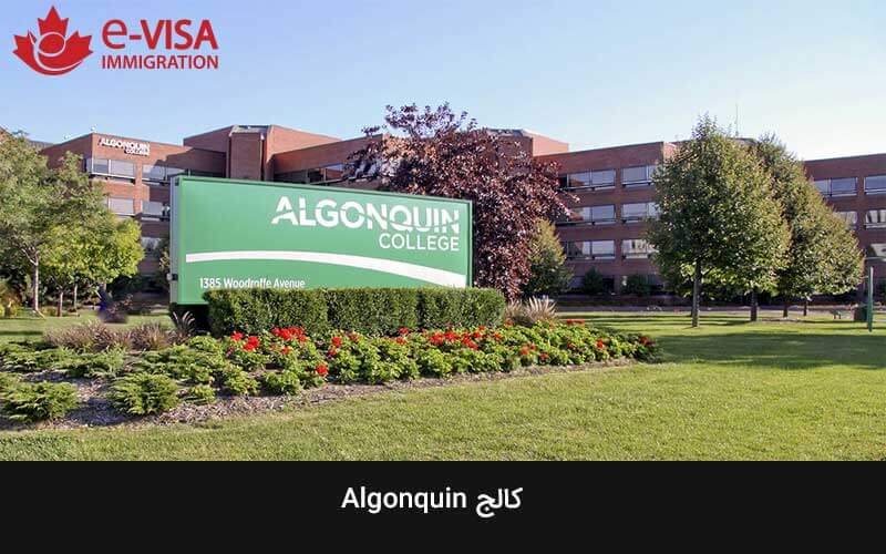 کالج Algonquin