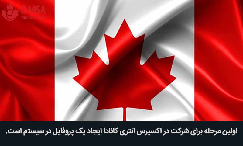 پروفایل اکسپرس انتری